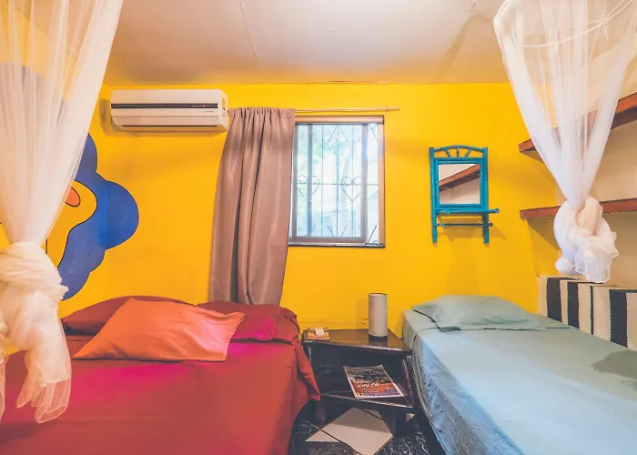 Pura Vida Auberge de jeunesse Tamarindo