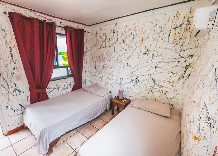 Pura Vida Auberge de jeunesse