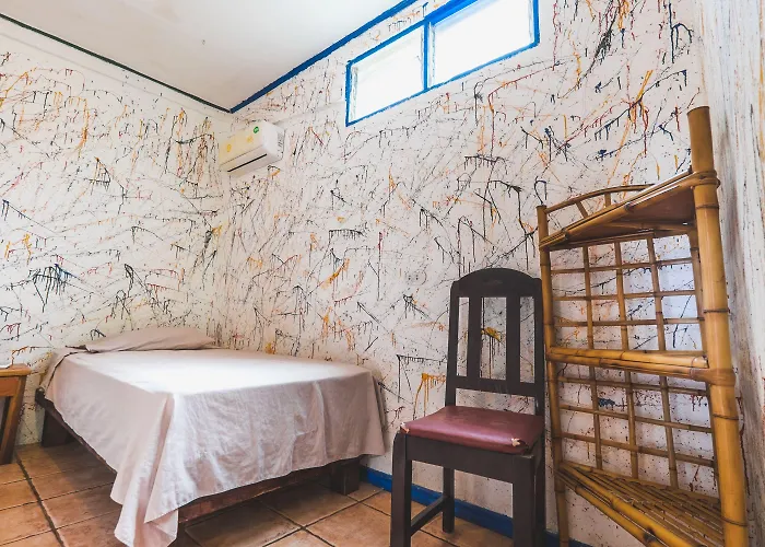 Pura Vida Auberge de jeunesse *