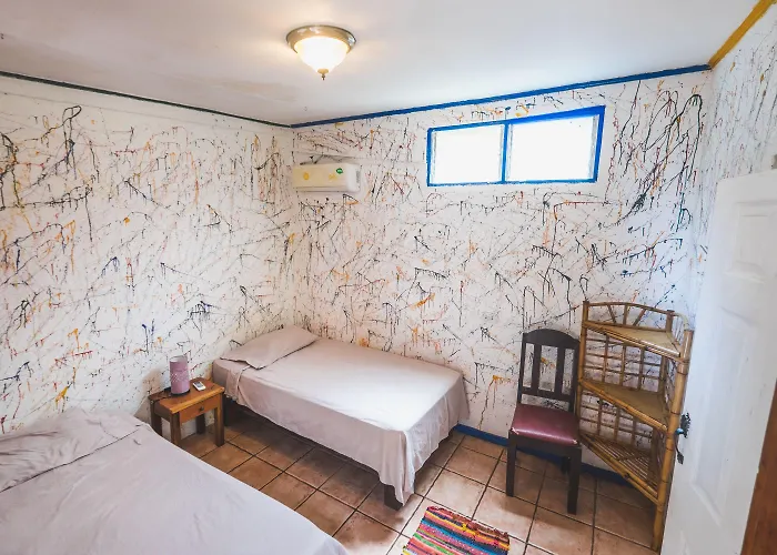 Auberge de jeunesse Pura Vida
