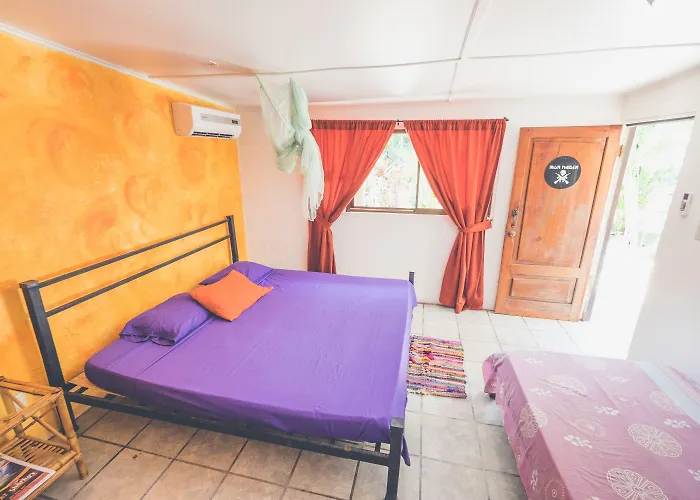Pura Vida Auberge de jeunesse