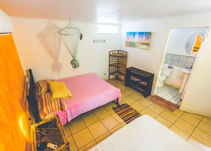 Auberge de jeunesse Pura Vida