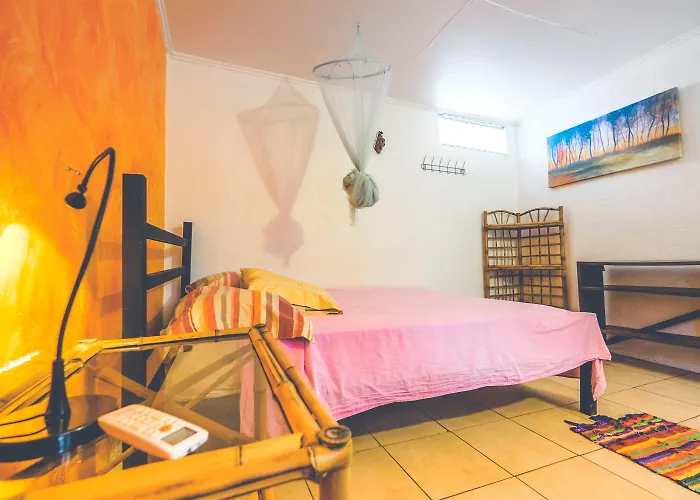 Auberge de jeunesse Pura Vida