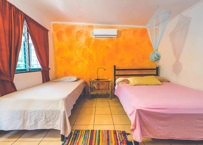 Pura Vida Auberge de jeunesse