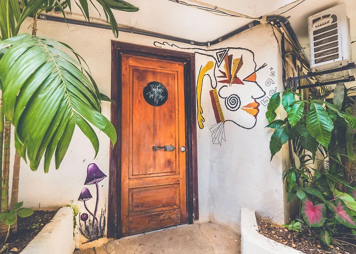 Pura Vida Auberge de jeunesse Tamarindo