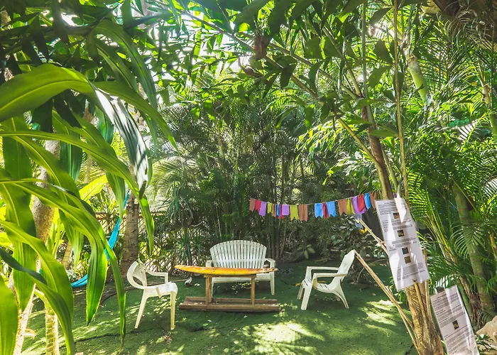 Pura Vida Auberge de jeunesse Tamarindo