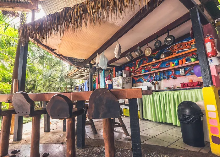 Pura Vida Auberge de jeunesse Tamarindo