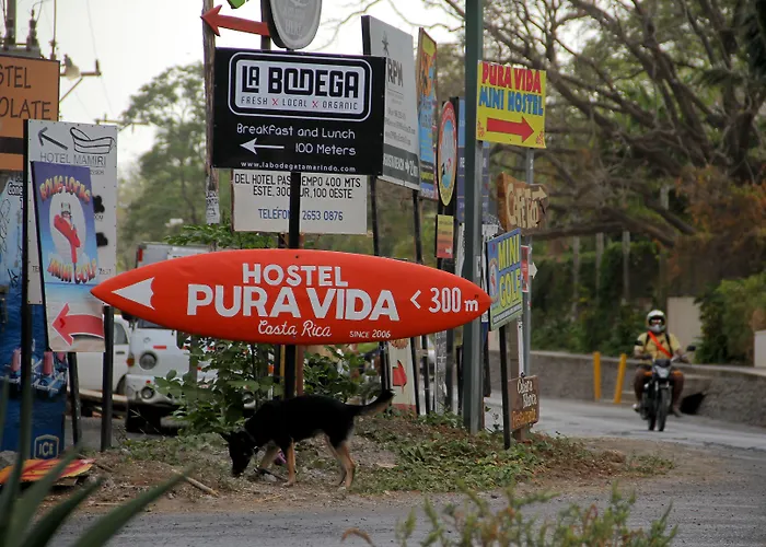 Pura Vida Auberge de jeunesse *