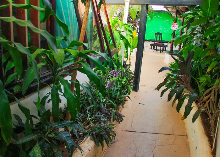 Pura Vida Auberge de jeunesse Tamarindo