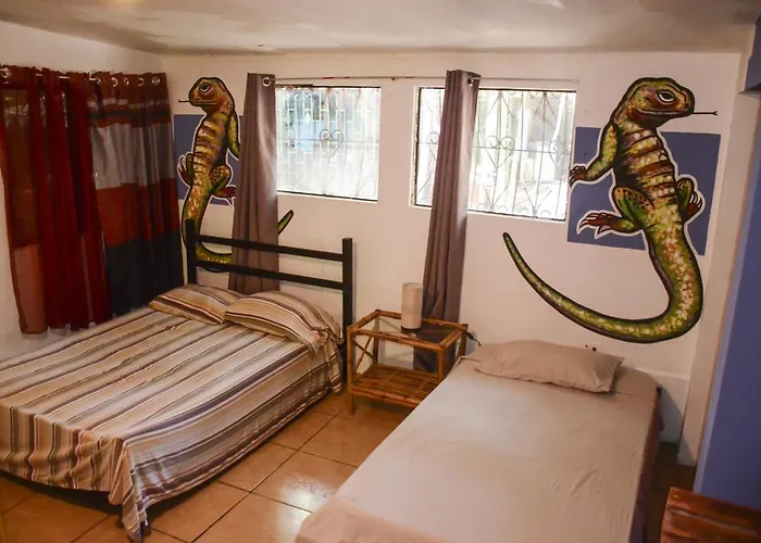 Auberge de jeunesse Pura Vida