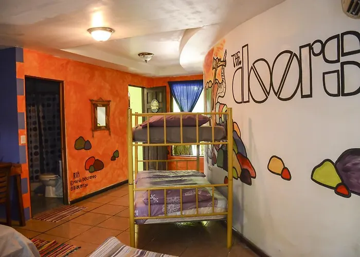 Auberge de jeunesse Pura Vida